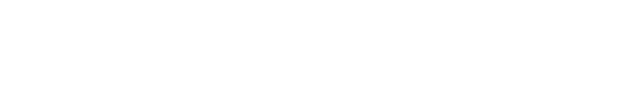 topbar logo